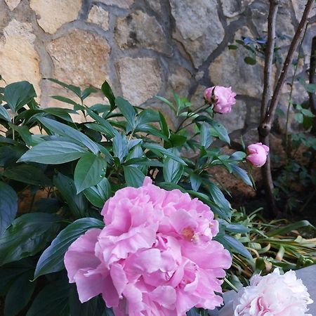 Bed and Breakfast Da Noi Due Bergamo Exterior foto