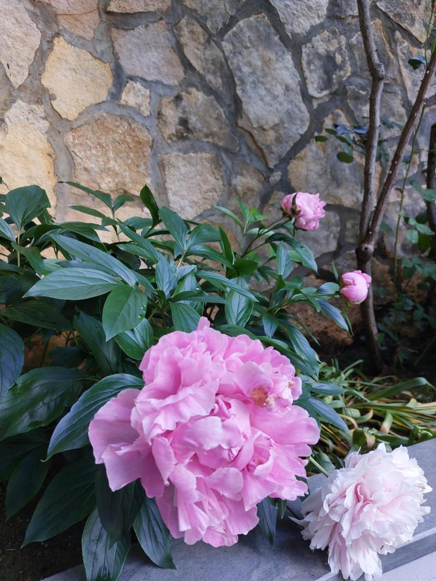 Bed and Breakfast Da Noi Due Bergamo Exterior foto